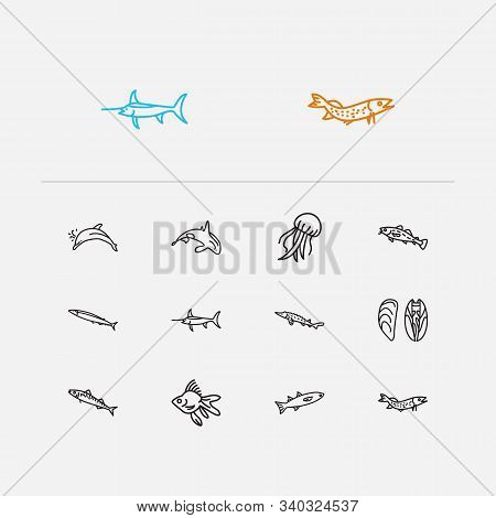 Fish Icons Set. Saury And Fish Icons With Cod Fish, Atlantic Bottlenose Dolphin And Pike Fish. Set O