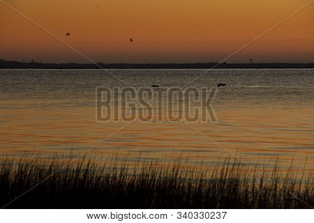 Charleston, South Carolina, United States, November 2019, Sunrise Over Charleston Harbour Bay Lookin