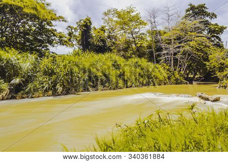 River Flowing Beside Lush Green Trees & Plants In Rural Landscape Scene. Scenic Tropical Caribbean I