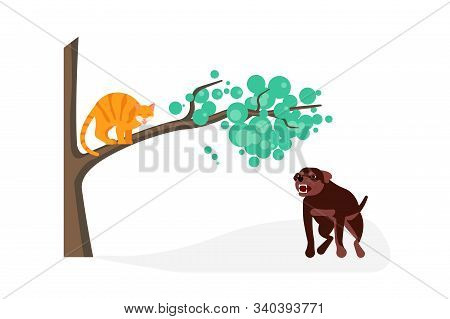Cat Vs Dog Concept. Dog Attak To Kitty, Cat Is Arching His Back And Hissing On Tree Isolated. Flat A