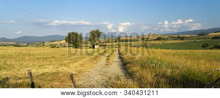 Summer Landscape Along The Road To Camigliatello Silano, Cosenza, Calabria, Italy, In The Sila Natur