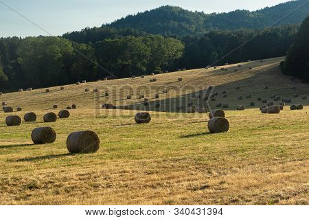 Summer Landscape Along The Road To Camigliatello Silano, Cosenza, Calabria, Italy, In The Sila Natur