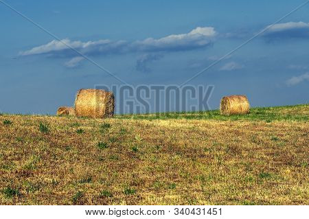 Summer Landscape Along The Road To Camigliatello Silano, Cosenza, Calabria, Italy, In The Sila Natur