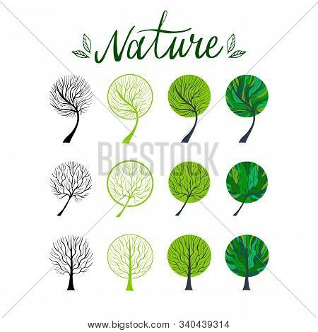 Set Of Hand Drawn Vector Trees. Eco And Healthy Lifestyle Concept. Nature Illustration. Eps 8