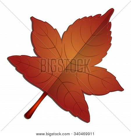 Isolated Maple Leaf Image. Autumn Leaf - Vector