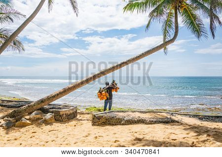A Man Selling Coconuts And Pineapples On The Beach, Hikkaduwa, Sri Lank.