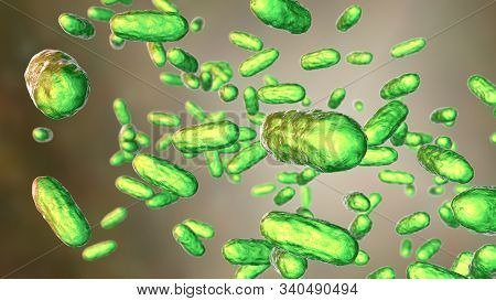 Bacteria Bordetella Parapertussis, The Causative Agent Of Whooping Cough-like Disease, 3d Illustrati