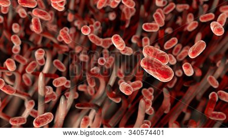 Whooping Cough Bacteria Bordetella Pertussis In Respiratory Tract, 3d Illustration Showing Cilia Of 