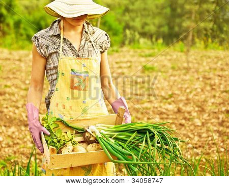 Giardiniere donna felice lavorando sul campo, giovane azienda femmina petto, ragazza coltivazione biologica vegeta verde