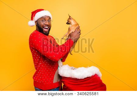 Profile Side Portrait Of His He Nice Attractive Cheerful Cheery Guy Holding In Hands Toy Terrier New