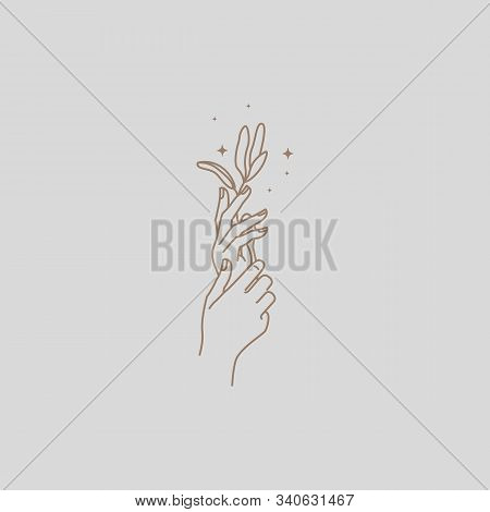 Vector Emblem Design In Trendy Linear Minimal Style. Hands With Tree Branch - Symbol For Cosmetics, 