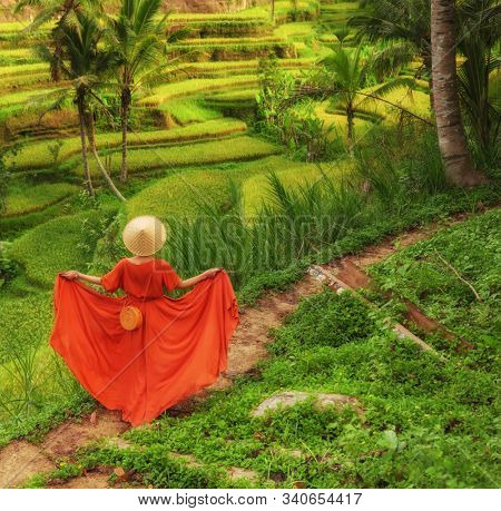 Woman walking on Tegalalang Rice Terrace, Bali