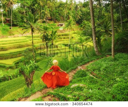 Woman walking on Tegalalang Rice Terrace, Bali