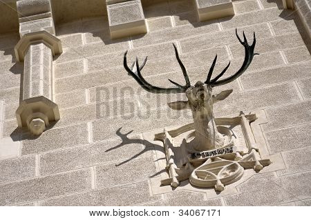 Antler
