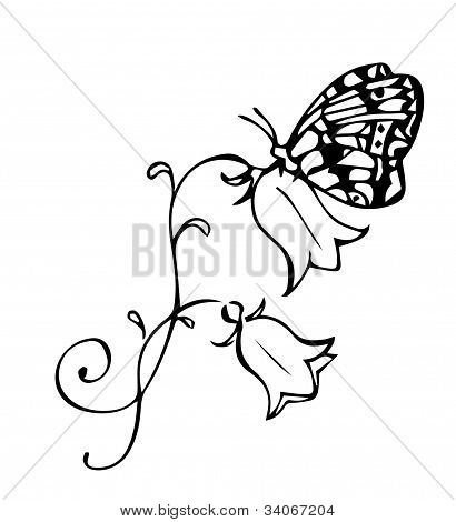 motyl na harebell
