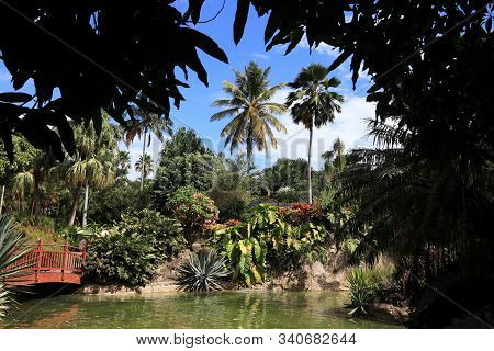 Guadeloupe - Caribbean Vacation Destination. Botanical Garden In Deshaies.