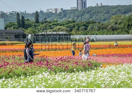 Daxi, Taiwan - November 15th, 2019: tourists walk at the garden in Daxi event of Taoyuan Flower Festival in Taoyuan, Taiwan, Asia
