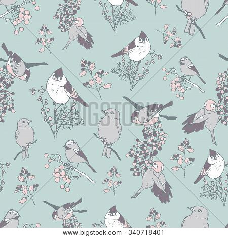 Vector Pattern With Birds And Plants With Berries