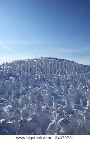 Měkké Rime, Mt.zao v Japonsku