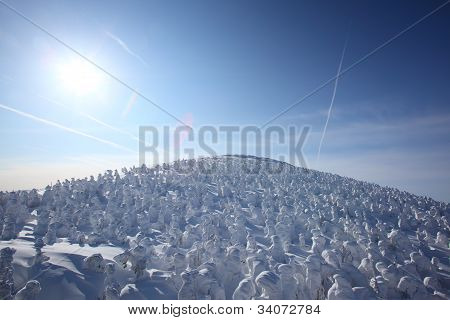 Měkké Rime, Mt.zao v Japonsku
