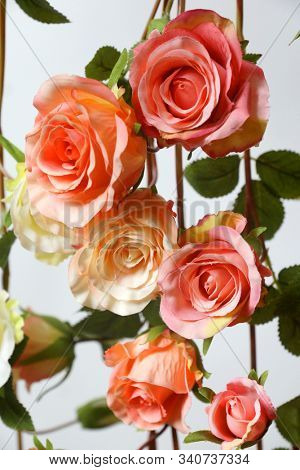 Colored roses.  Holiday flower. Wedding. High quality silk artificial flowers