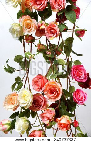 Colored roses.  Holiday flower. Wedding. High quality silk artificial flowers