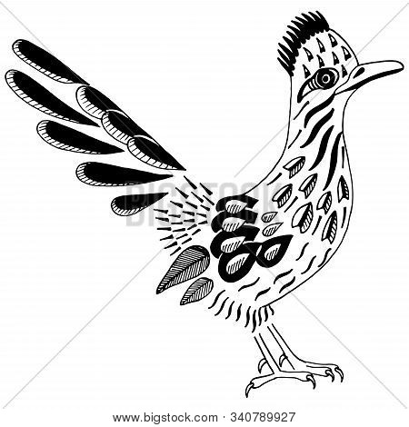 Road Runner. Spirit Animal. Greater Roadrunner. Geococcyx Californianus
