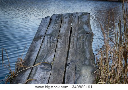 River Pier In Sedge And Calamus. Relaxation And Relaxation On The Beach. Belarus. Salihorsk.