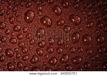 A Close Up Abstract Macro Photo Of Water Droplets On A Grey Non Stick Frying Pan Material Lit With A