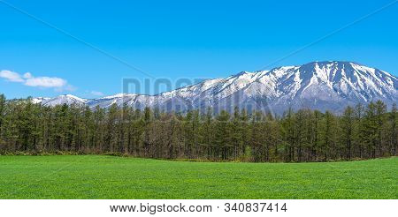 Beauty Nature View, Snowcapped Mountain Range In Background, Forest And Green Grassland In Foregroun