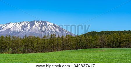 Beauty Nature View, Snowcapped Mountain Range In Background, Forest And Green Grassland In Foregroun