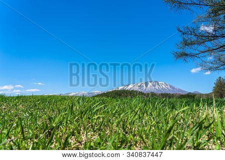 Beauty Nature View, Snowcapped Mountain Range In Background, Forest And Green Grassland In Foregroun