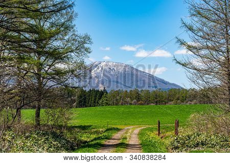 Beauty Nature View, Snowcapped Mountain Range In Background, Forest And Green Grassland In Foregroun