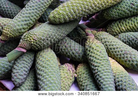 Monstera Deliciosa A Mix Of Pineapple And Banana