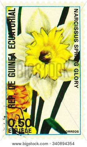 Moscow, Russia - December 22, 2019: Stamp Printed In Equatorial Guinea Shows Narcissus Or Daffodil O