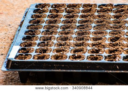 Black Plastic Reusable Seed Starting/ Seedling Tray With Dirt Soil Mix And Seeds In Each Cup. The Se