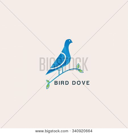 Bird Dove Animal Logo Vector Design Template