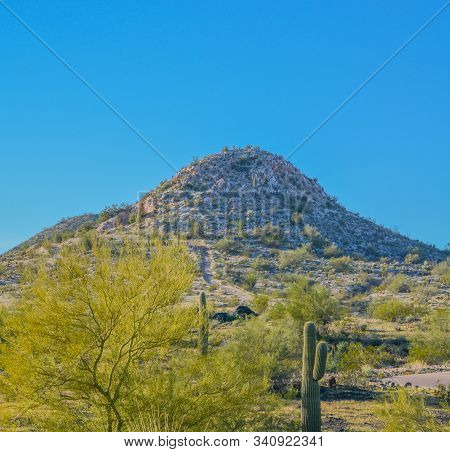 Discovery Trail In The Sonora Desert. Peoria, Maricopa County, Arizona Usa