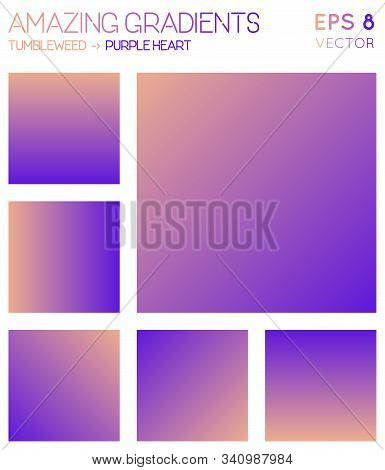 Colorful Gradients In Tumbleweed, Purple Heart Color Tones. Adorable Background, Sightly Vector Illu