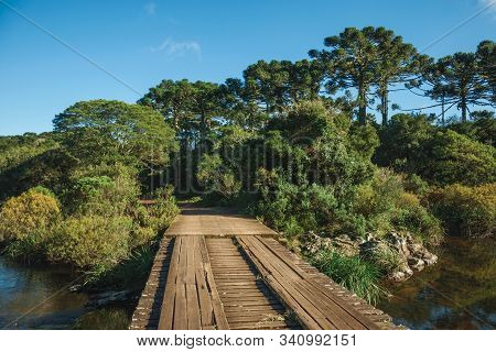 Wooden Bridge Over Creek And Trail Through Forest At The Aparados Da Serra National Park Near Cambar