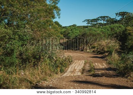 Dirt Pathway Passing Through Forest With A Wood Walkway In The Aparados Da Serra National Park, Near