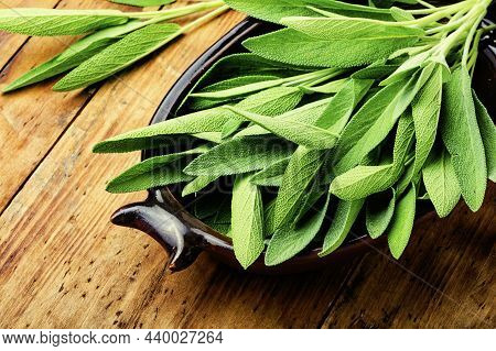 Sage In Herbal Medicine,herbalism