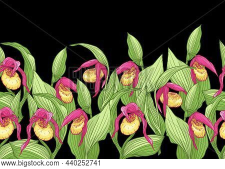 Ladys Slipper Orchid, Cypripedioideae, Seamless Pattern, Background. Vector Illustration. In Botanic