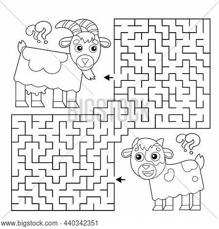 Maze Or Labyrinth Game. Puzzle. Coloring Page Outline Of Cartoon Goat With Goatling Or Kid. Farm Ani