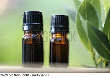 Laurel Oil.green Laurel Oil. Bay Leaf Oil.essential Oil Bottles Set. Glass Bottles Set And Laurel Le