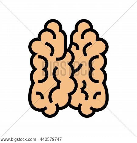 Thymus Of Immune System Color Icon Vector. Thymus Of Immune System Sign. Isolated Symbol Illustratio