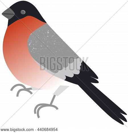 Bullfinch Icon, Snowbird Vector Isolated On White
