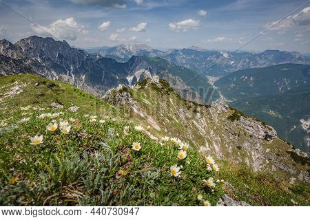 Beautiful Mountain Trail Monte Montusel In Friuli-venezia Giulia, Italy