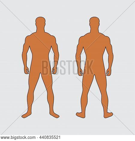 Adult Man Front View And Back View. Human Silhouette. Standard Male Figure. Yellow Skin Color. Stand