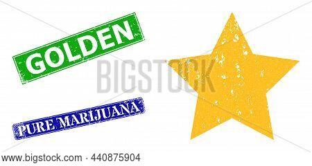 Grunge Gold Star Icon And Rectangle Rubber Golden Stamp. Vector Green Golden And Blue Pure Marijuana